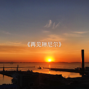 一级A片四川少妇大白奶
