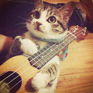 一级A片四川少妇大白奶
